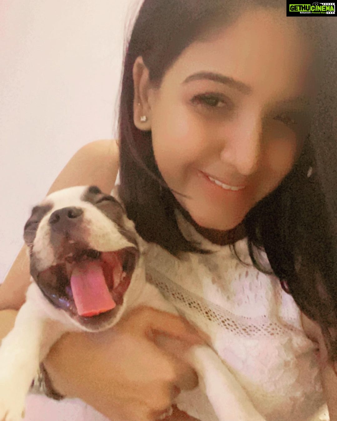 Pavani Reddy Instagram - Meet noddy @rasika_kalyanikar @sandeep_deep