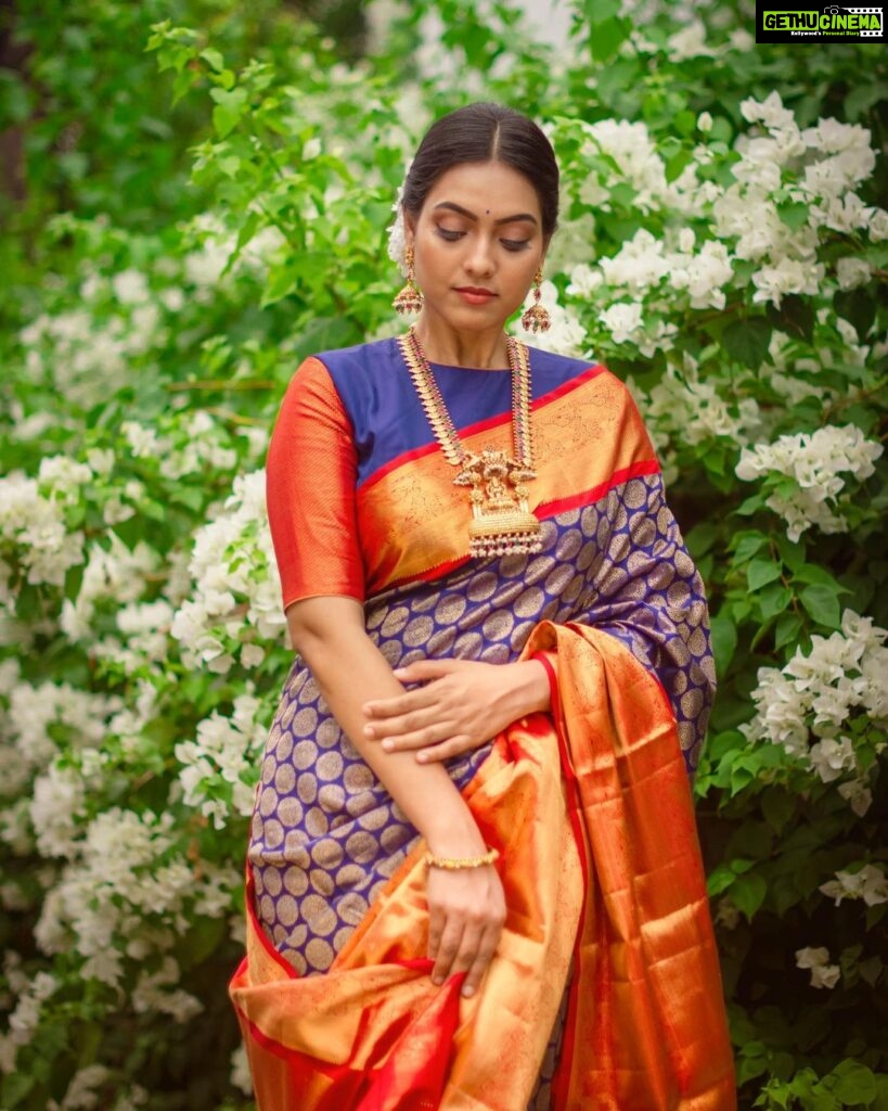 Pavithra Janani Instagram - The regal collection of authentic and vibrant Kanjivaram sarees from @kanchivmlsilks have left me in awe and the moment I laid my eyes on this beautiful drape I have fallen in love with its intricate details and vibrant hues.✨ Thank you @galoremedia.offl Saree @kanchivmlsilks Mua @essensemakeup Jewelleries @lumibellafashion Pc @dhiraviam_rajakumaran Link in bio #KanchiVMLSilks #Varamahalakshmisilks #SareeOfTheDay #Sareelove #sareefashion #sareecollection #sareesofinstagram #Kanchipattusaree #Kanchivaramsilks #pokeify #galoremedia