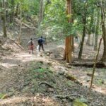 Pavithra Janani Instagram - Agasthiyar malai trekking 🏔️ After a long struggles went there memorable n awesome trekking ❤️ You guys r the best thanks for taking care of me @jack_mj7 @rajinii_karthik ,Vijay,Prasanna #trekking #agasthiyarkoodamtrekking #podhigaimalai #sivayanamaha🕉️ #strangersintofriends #toughesttrekkingeverdone #somuchoffunandlaughter