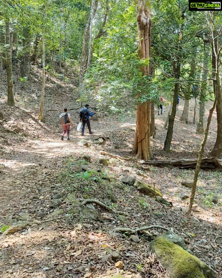 Pavithra Janani Instagram - Agasthiyar malai trekking 🏔️ After a long struggles went there memorable n awesome trekking ❤️ You guys r the best thanks for taking care of me @jack_mj7 @rajinii_karthik ,Vijay,Prasanna #trekking #agasthiyarkoodamtrekking #podhigaimalai #sivayanamaha🕉️ #strangersintofriends #toughesttrekkingeverdone #somuchoffunandlaughter