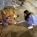 Payal Rajput Instagram – Never stop loving animals because they love you and bring joy.
🐄 🐶🐒🐷🐹🐱🐰🐽🦄🐵Awake your soul by loving animals 🐶