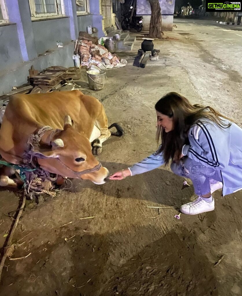 Payal Rajput Instagram - Never stop loving animals because they love you and bring joy. 🐄 🐶🐒🐷🐹🐱🐰🐽🦄🐵Awake your soul by loving animals 🐶
