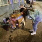 Payal Rajput Instagram – Never stop loving animals because they love you and bring joy.
🐄 🐶🐒🐷🐹🐱🐰🐽🦄🐵Awake your soul by loving animals 🐶