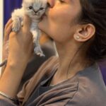 Payal Rajput Instagram - @tiakarofficial Thanks for having me over and for the wonderful time spent with you and your furry babies .It honestly felt like a therapy session and really lifted my spirits. Maza agya 😜🥰 love ur babies 👶 Looking forward to our next hangout already! Mwaz ✌🏼