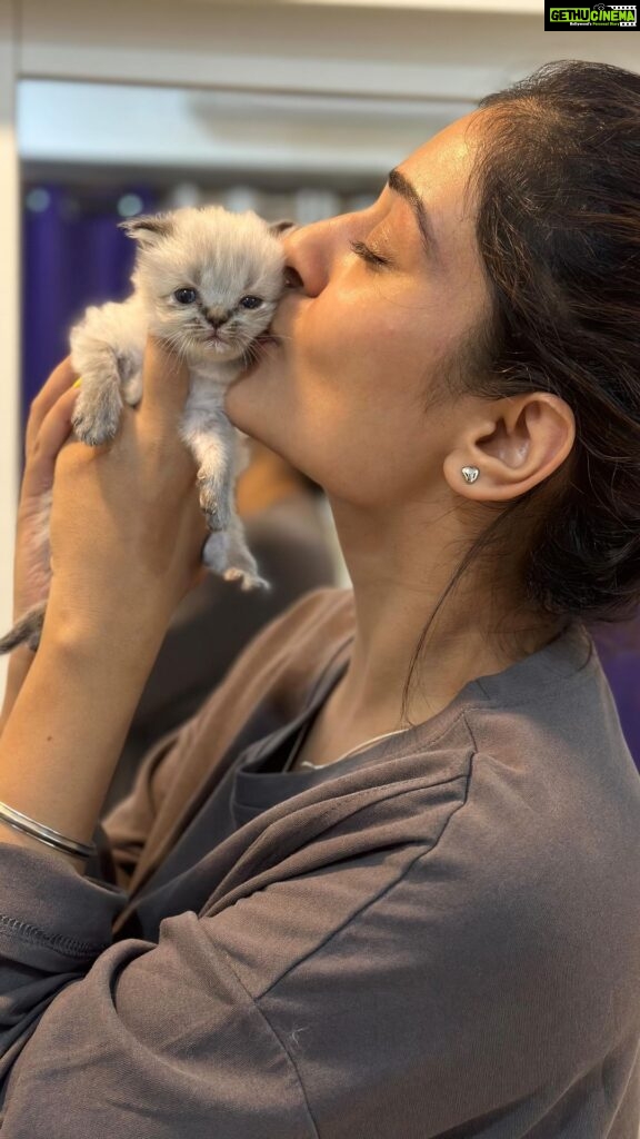 Payal Rajput Instagram - @tiakarofficial Thanks for having me over and for the wonderful time spent with you and your furry babies .It honestly felt like a therapy session and really lifted my spirits. Maza agya 😜🥰 love ur babies 👶 Looking forward to our next hangout already! Mwaz ✌🏼
