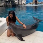 Payal Rajput Instagram – From Awe to Love 🐬
The Dolphin Encounter that transformed me into a Lifetime Fan of these Majestic Creatures 🥰
Feeling so overwhelmed that you can see in this video 🥰🥲🥰
#awestruck #touchedbymagic 🦩
