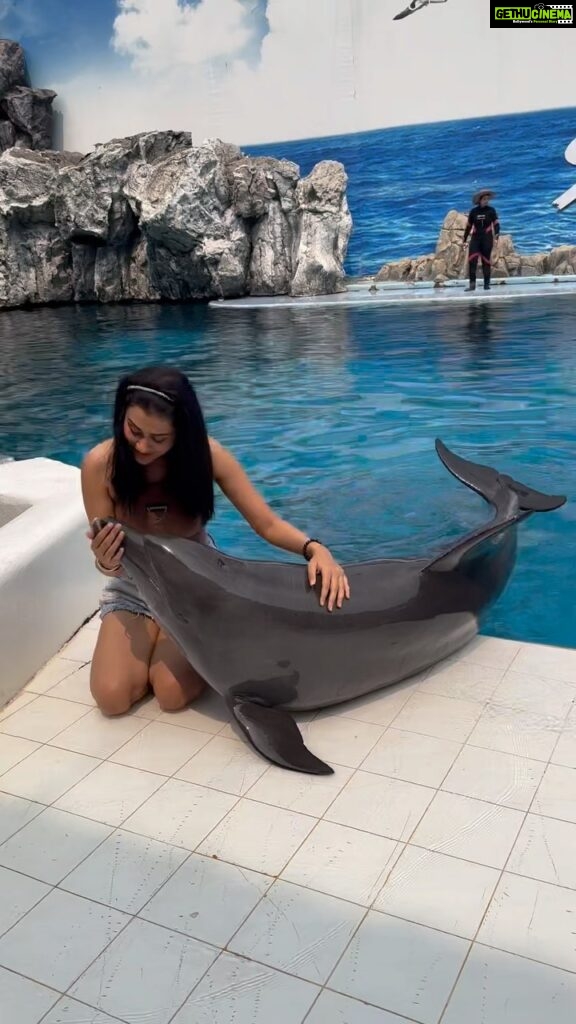 Payal Rajput Instagram - From Awe to Love 🐬 The Dolphin Encounter that transformed me into a Lifetime Fan of these Majestic Creatures 🥰 Feeling so overwhelmed that you can see in this video 🥰🥲🥰 #awestruck #touchedbymagic 🦩
