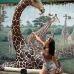 Payal Rajput Instagram – Safari Thrills🦒🦜☘️🦁🐒🐊🦧
An Unforgettable Journey Through the Wilds of Bangkok, Packed with Adventure and Laughter”🥰🖤 Safari World Bangkok, Thailand