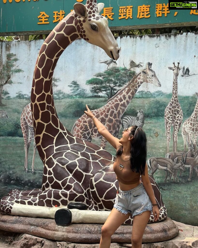 Payal Rajput Instagram - Safari Thrills🦒🦜☘️🦁🐒🐊🦧 An Unforgettable Journey Through the Wilds of Bangkok, Packed with Adventure and Laughter"🥰🖤 Safari World Bangkok, Thailand