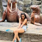 Payal Rajput Instagram – Safari Thrills🦒🦜☘️🦁🐒🐊🦧
An Unforgettable Journey Through the Wilds of Bangkok, Packed with Adventure and Laughter”🥰🖤 Safari World Bangkok, Thailand