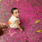 Pearle Maaney Instagram - Fascinated by the colours of the world ❤️