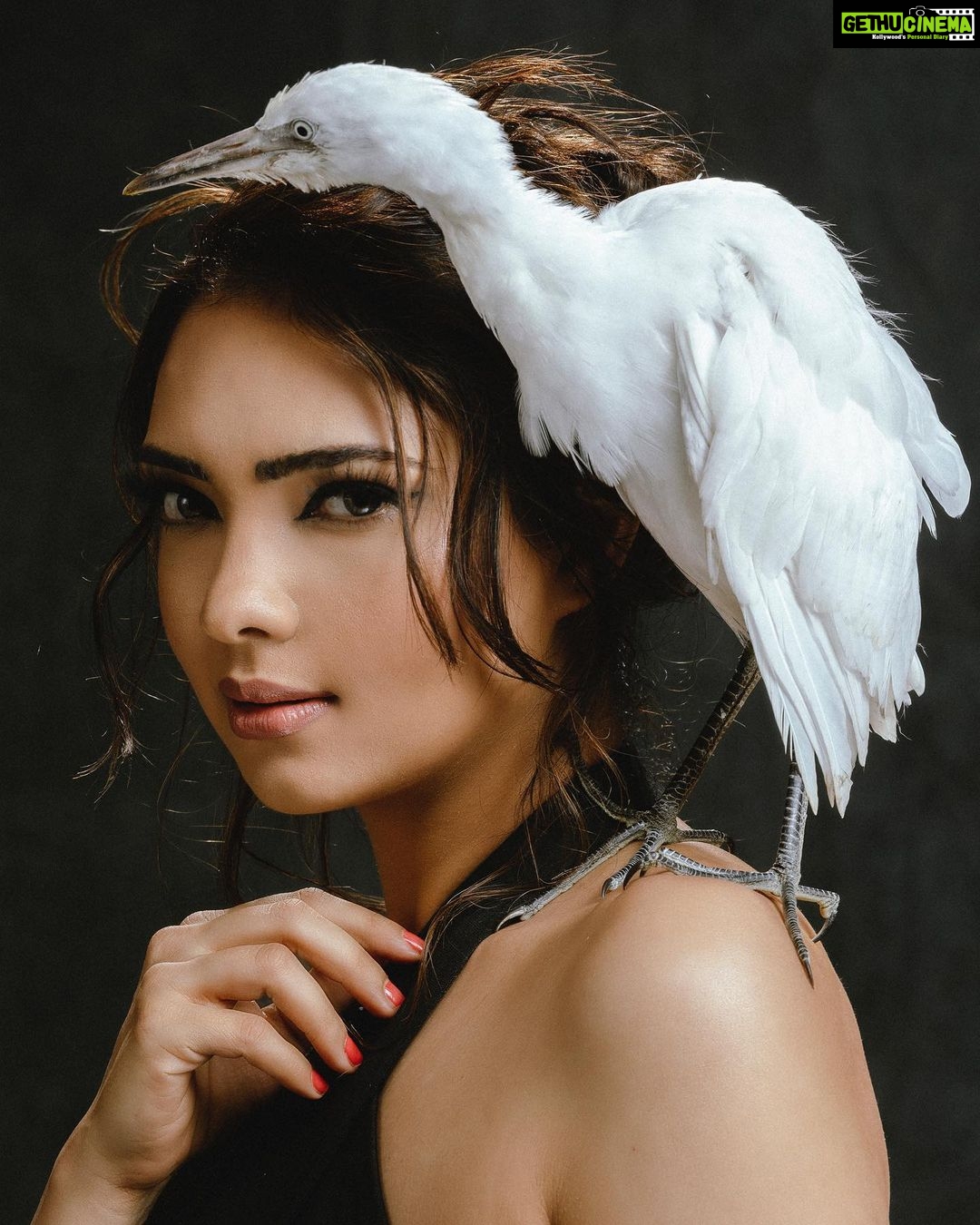 Pooja Banerjee Instagram - If I ‘Crane’ Do it, So Can YOU…. 🦩hair styling by the stunning & beautiful @hairbydrishya 🦩Make-Up by my favourite @sachinmakeupartist1 🦩 crazy styling by @rezachirag 🦩 could do this only cause of @subisamuel #PoojaBanerjii #PoojaBanerjii