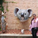 Poonam Dhillon Instagram - Adorable to see Koala Bears, kangarooss,Emu and many more!! Love Animals & Nature . Feel so happy to be amidst these beautiful creations of God. Let's look after them ❤️❤️ #koala #adorablekoala #kangaroo #emu