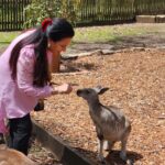 Poonam Dhillon Instagram - Adorable to see Koala Bears, kangarooss,Emu and many more!! Love Animals & Nature . Feel so happy to be amidst these beautiful creations of God. Let's look after them ❤️❤️ #koala #adorablekoala #kangaroo #emu