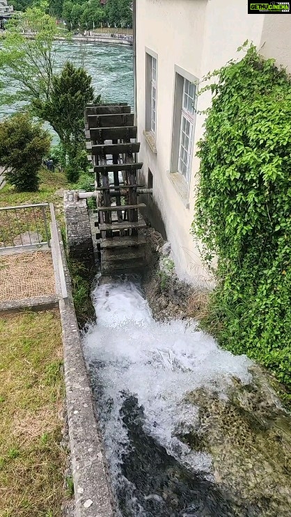 Poonam Dhillon Instagram - Beautiful nature beckons !! Soothing to eyes, mind& all senses!!! 🥰😊 Rhinefalls Switzerland