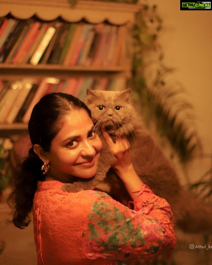 Poornima Indrajith Instagram - Appreciation post to all the pet moms out there. Aren’t we all blessed ♥️ Taking a moment to be grateful for all the love I receive. Here are the names of my fur babies:) Booboo . Nala . Boba . Laila Pic by : @athul_krishna________ #petmom #happymothersday