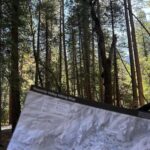 Pragathi Guruprasad Instagram – a weekend in the wilderness ⛰🥾 Yosemite National Park
