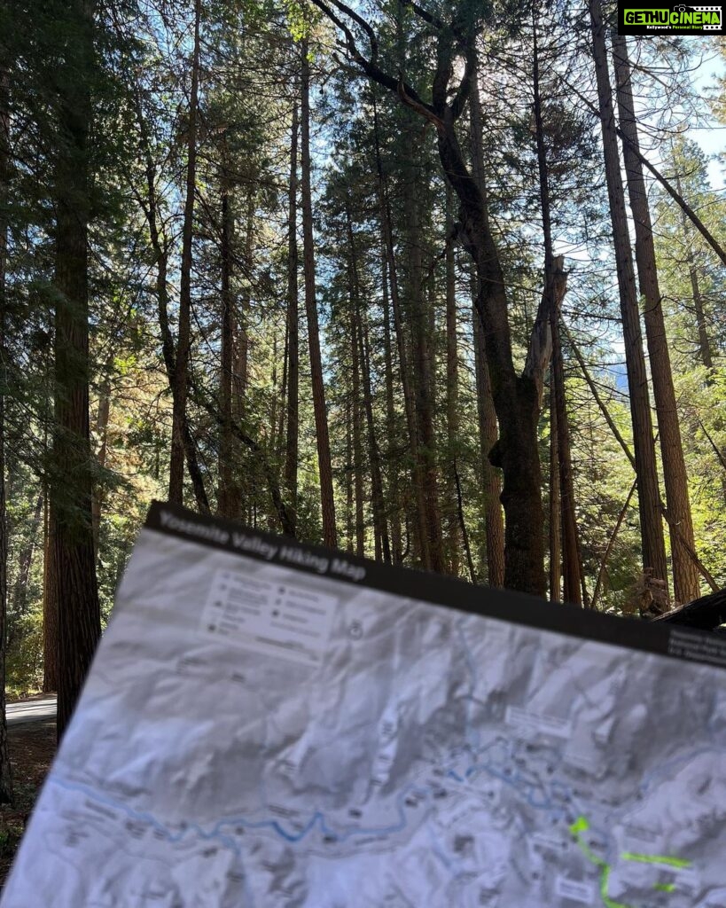 Pragathi Guruprasad Instagram - a weekend in the wilderness ⛰🥾 Yosemite National Park