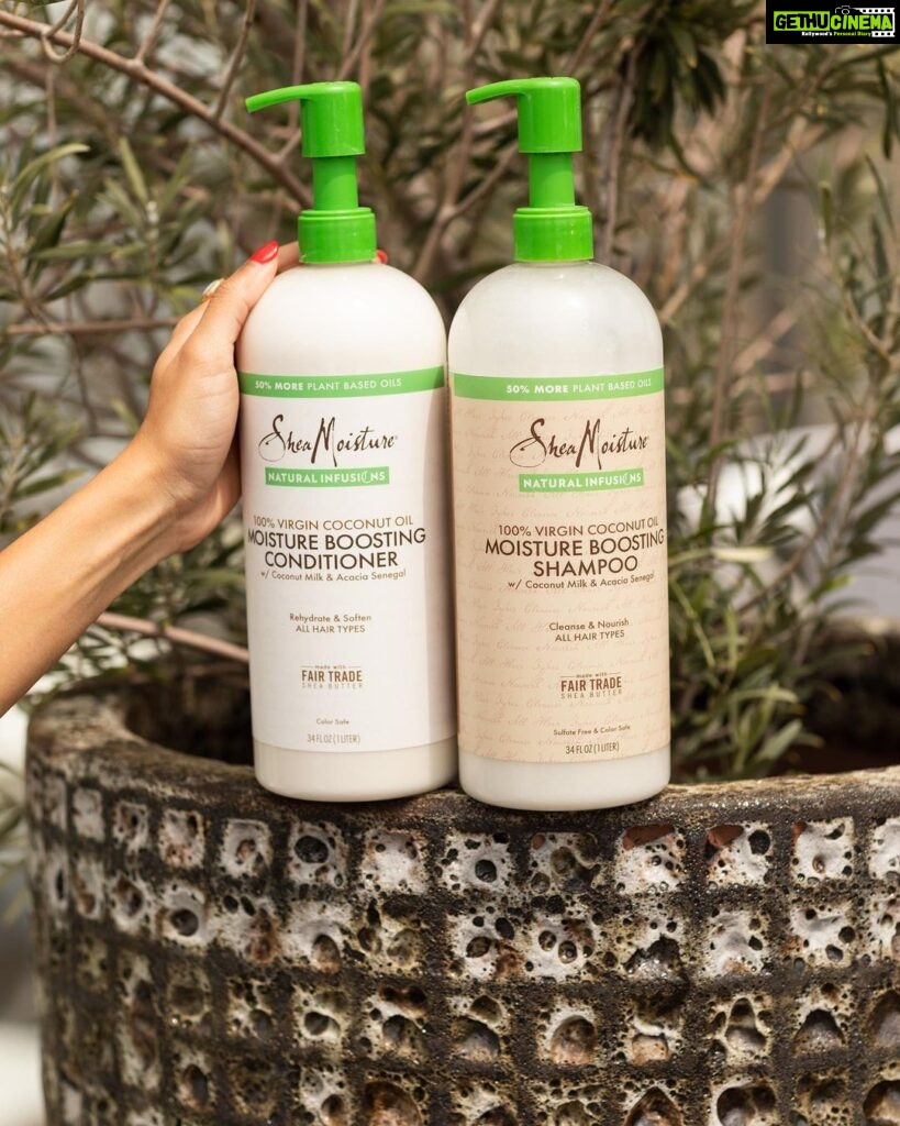 Pragathi Guruprasad Instagram - My curly hair journey has been a long one and @sheamoisture has been there every step of the way! Obsessed with the new SheaMoisture Natural Infusions 100% Virgin Coconut Oil Moisture Boosting Duo from @costco #UnileverPartner