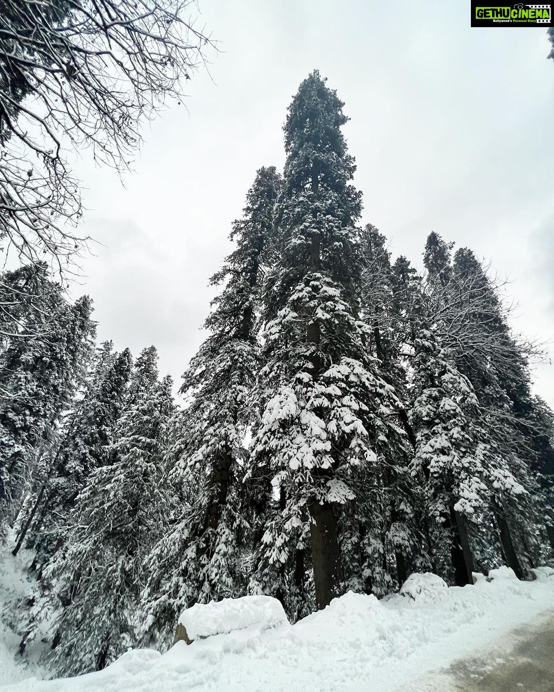 Pragya Jaiswal Instagram - Exactly how I wanted to spend my birthday weekend - In snow βοΈπ€ Woke up this morning to the magical first snowfall of the season & I cudnt have asked for more π₯Ήπ«π #WhiteBirthday #Magical #BestBirthday Wildflower Hall, An Oberoi Resort