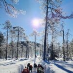 Pragya Jaiswal Instagram - International Happiness Day! Choosing to share the most magical 10 days I just spent in the happiest country in the world. The theme this year is “be mindful, be grateful, be kind” - all the very things this place made me feel 🤍❄️ #Finland #travel #lapland #northernlights