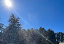 Pragya Jaiswal Instagram - Summer feels in the winter sun☀️🏔️