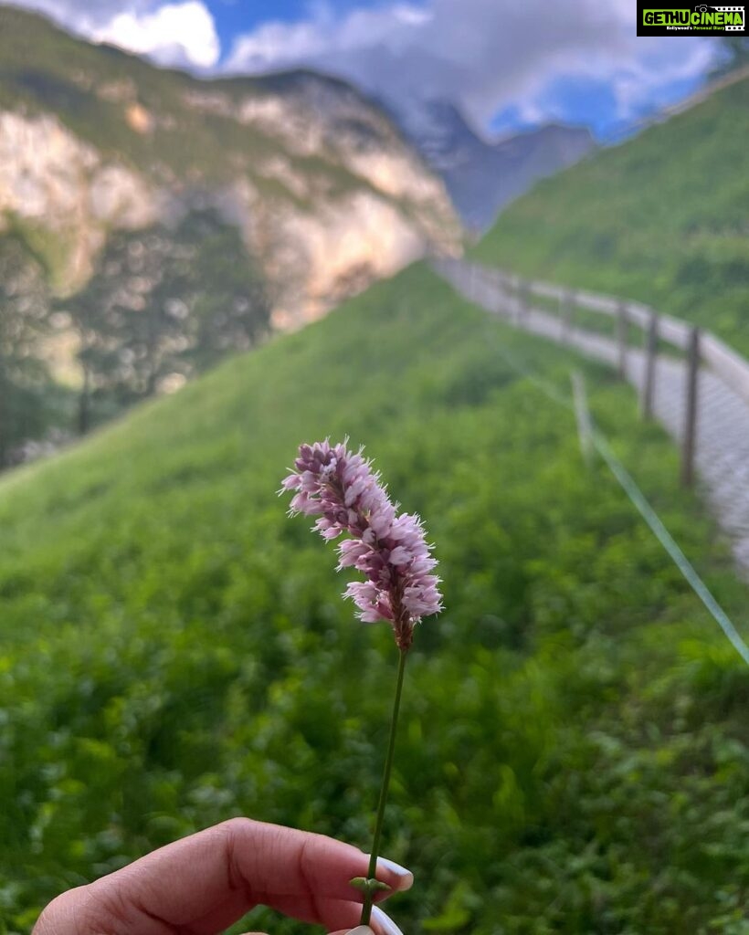 Pragya Jaiswal Instagram - There’s no planet B, here’s to loving and nurturing nature first ☘️💚🌿 #WorldEnvironmentDay Switzerland