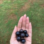 Pragya Jaiswal Instagram - There’s no planet B, here’s to loving and nurturing nature first ☘️💚🌿 #WorldEnvironmentDay Switzerland