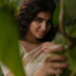Pragya Nagra Instagram - വിഷു ആശംസകൾ 🌸🌾 PC @gowtham__rajendran Styling @anchita_nagra #vishu #kerala #happyvishu #keralagram #vishuspecial #vishukani #malayali #keralasaree #keralamodel #malayalamactress #malayalamcinema #mallu #mallugram #mollywood #malayalam #malluactress #anusithara #mohanlal #mallugirl #tovinothomas #mammootty #nivinpauly #malayalamcinema #lalettan #malluhot #nazriya #anupamaparameswaran #keralabeauty #dulquersalmaan #nayanthara