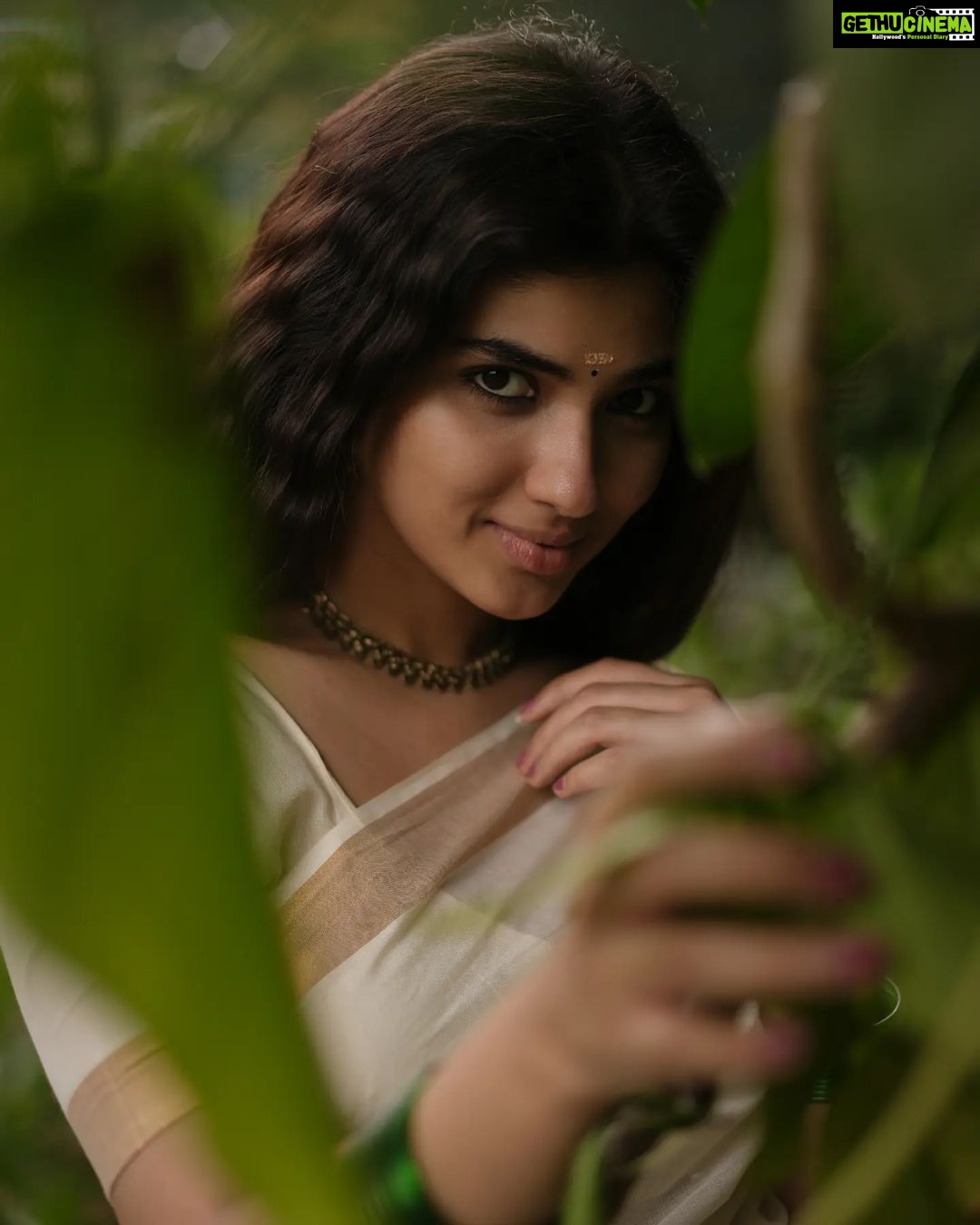 Pragya Nagra Instagram - വിഷു ആശംസകൾ 🌸🌾 PC @gowtham__rajendran Styling @anchita_nagra #vishu #kerala #happyvishu #keralagram #vishuspecial #vishukani #malayali #keralasaree #keralamodel #malayalamactress #malayalamcinema #mallu #mallugram #mollywood #malayalam #malluactress #anusithara #mohanlal #mallugirl #tovinothomas #mammootty #nivinpauly #malayalamcinema #lalettan #malluhot #nazriya #anupamaparameswaran #keralabeauty #dulquersalmaan #nayanthara