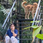 Prakash Raj Instagram - Family time.. winter afternoons in the farm.. bliss 😊😊😊