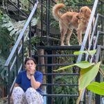 Prakash Raj Instagram – Family time.. winter afternoons in the farm.. bliss 😊😊😊