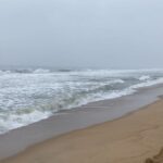 Prakash Raj Instagram - Morning walk by the sea in my backyard.. Chennai… off to work.🥲 now .. Good day everyone ❤️❤️love n only love 😊