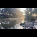 Prakash Raj Instagram - Early mornings by the stream in my farm… listening to life.. bliss . Have a great weekend dears. ❤️ love