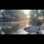 Prakash Raj Instagram – Early mornings by the stream in my farm… listening to life.. bliss .  Have a great weekend dears. ❤️ love