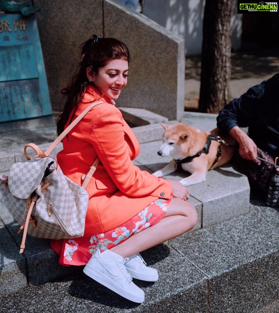 Pranitha Subhash Instagram - Out and about Tokyo city ❤️ Pic1 : Shiba Inu 🐶 Pic2: metro hopping