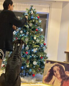 Prateik Babbar Instagram - december 13th 2022 on my mother’s 36th death anniversary ❤️♾️

happy holidays from chico & prat 🎄❤️