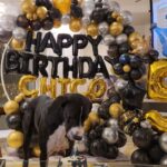 Prateik Babbar Instagram – & just like that my son is 5 years old‼️

happy 5th birthday to my handsome baby boy‼️❤️♾️

#chico & i wanna thank all our friends like family for showing up with unconditional love & presents.. & making “chico’s big 5” one hell of a party‼️.. y’all know who y’all are ❤️.. we love & appreciate y’all from the bottom of our hearts‼️❤️

special shoutout to “chico’s doggy cake mama” @puplords_barkery – “we love you girl.. you da bomb dot com”‼️❤️

p.s. – “my big boy still be the handsomest.. get used to it”‼️❤️

#chico #MySon #MyBigBoy #MyBabyBoy #MyBigBaby #MyBigBabyBoy #big5 #woof ❤️♾️ Chico’s Home