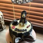 Prateik Babbar Instagram – & just like that my son is 5 years old‼️

happy 5th birthday to my handsome baby boy‼️❤️♾️

#chico & i wanna thank all our friends like family for showing up with unconditional love & presents.. & making “chico’s big 5” one hell of a party‼️.. y’all know who y’all are ❤️.. we love & appreciate y’all from the bottom of our hearts‼️❤️

special shoutout to “chico’s doggy cake mama” @puplords_barkery – “we love you girl.. you da bomb dot com”‼️❤️

p.s. – “my big boy still be the handsomest.. get used to it”‼️❤️

#chico #MySon #MyBigBoy #MyBabyBoy #MyBigBaby #MyBigBabyBoy #big5 #woof ❤️♾️ Chico’s Home
