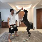 Prateik Babbar Instagram – #dawgs ♾️ Chico’s Home