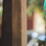 Pratheeksha G Pradeep Instagram -