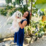 Pratheeksha G Pradeep Instagram - 🤍🤍🤍🤍🤍🤍 #shitzu #doglover #🤍🤍 Punalur
