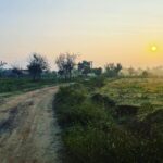 Prayaga Martin Instagram - My perception of reality is surreal.