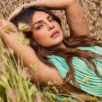 Priyanka Chopra Instagram - POV: You see the beautiful Santa Monica Mountains in Topanga, on a particularly hot day, and everything around was in full bloom (thanks to the crazy rain this year in SoCal 😋) That’s the story behind the pictures we shot for @thezoereport 💕 😉 Story link in bio. 📷: @laurendukoff Topanga, California
