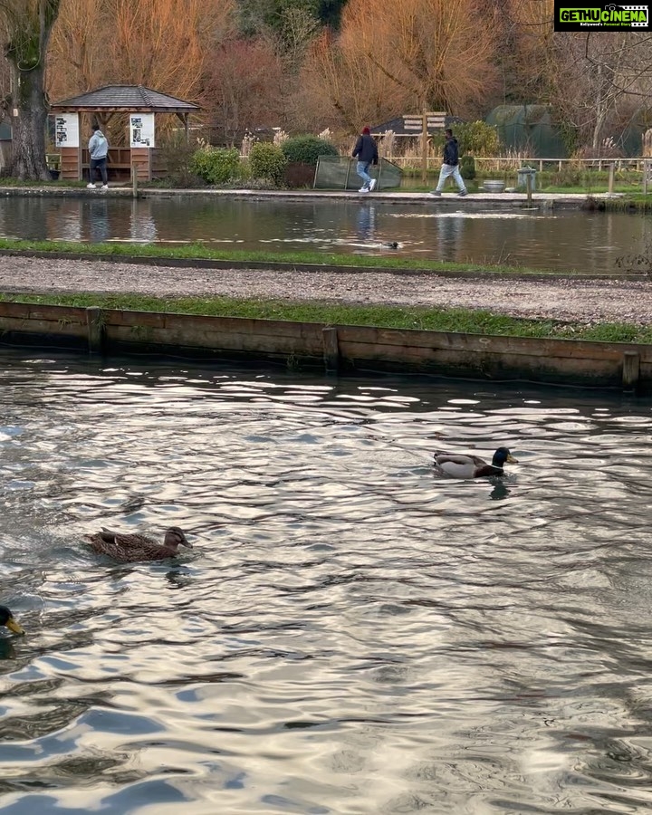 Priyanka Mohan Instagram - Flash from the past 🦆