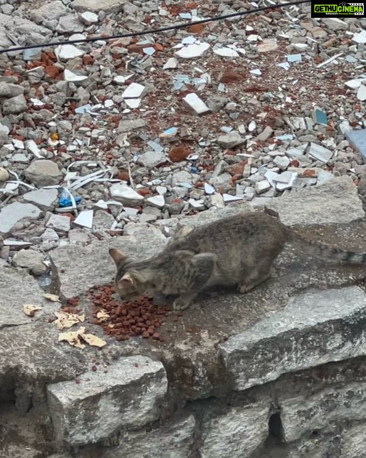 Punarnavi Bhupalam Instagram - Ghar par hai yaarooo Hyderabad City , India