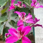 Punarnavi Bhupalam Instagram - Ghar par hai yaarooo Hyderabad City , India