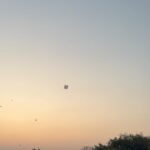 Punarnavi Bhupalam Instagram - Sorry birds 🐦 #sankranthi2023🪁✨🌾 Motherindia