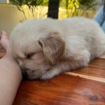 Punarnavi Bhupalam Instagram - Life lately Hyderabad,india