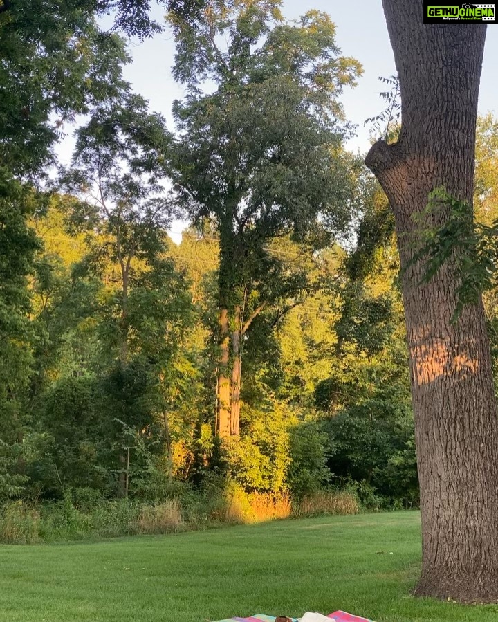 Punarnavi Bhupalam Instagram - I manifested for this in my life. when I say this, it’s togetherness, peace and a family circus 🎪 Nothing more, nothing less 🧿 Grand Rapids, Michigan